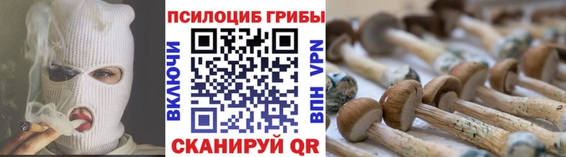 Галлюциногенные грибы прущие грибы  Юрьев-Польский 